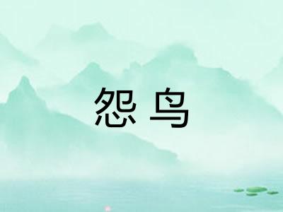 怨鸟 怨鸟