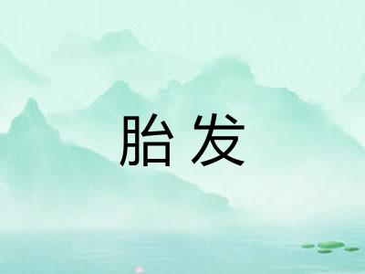 胎发 胎发
