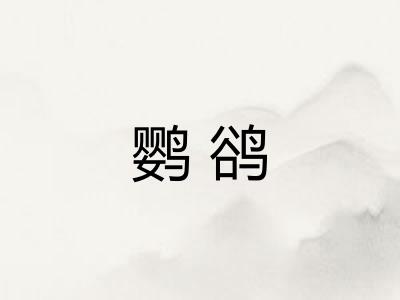 鹦鹆 鹦鹆