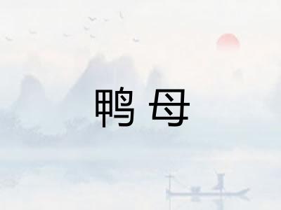 鸭母 鸭母