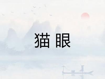 猫眼 猫眼