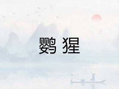 鹦猩 鹦猩