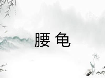 腰龟 腰龟