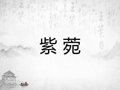 紫菀 紫菀