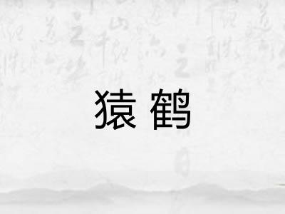 猿鹤 猿鹤