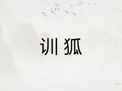 训狐 训狐