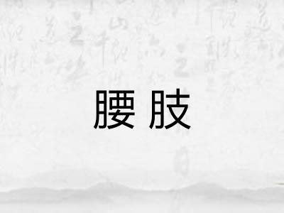 腰肢 腰肢