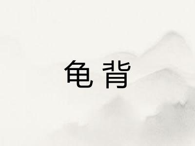 龟背 龟背