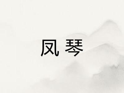 凤琴 凤琴