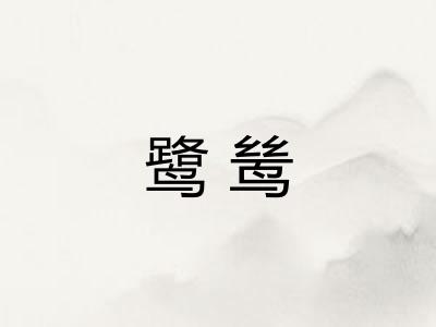 鹭鸶 鹭鸶