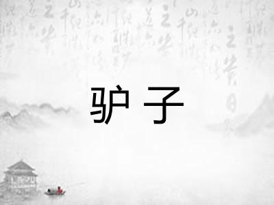 驴子 驴子