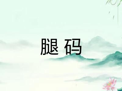 腿码 腿码