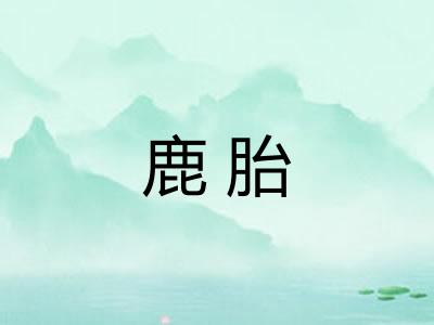 鹿胎 鹿胎