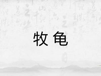 牧龟 牧龟