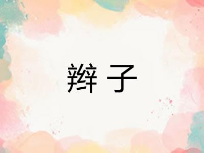 辫子
