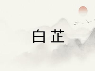 白芷 白芷