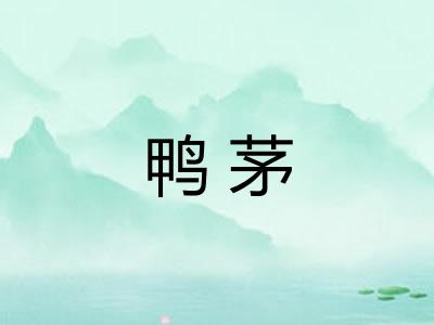 鸭茅 鸭茅