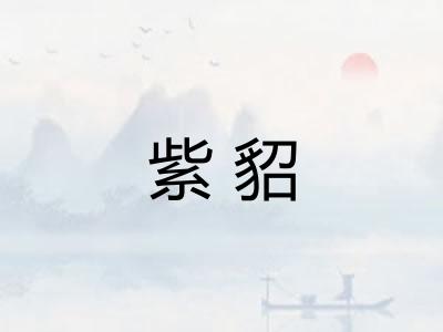 紫貂 紫貂