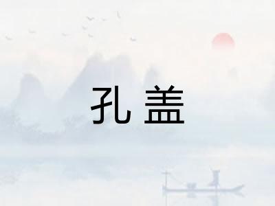 孔盖