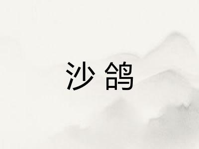 沙鸽 沙鸽