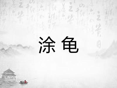 涂龟 涂龟