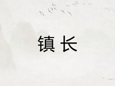 镇长 镇长