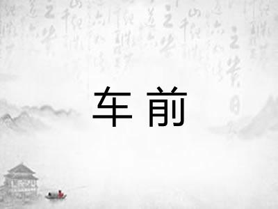 车前 车前