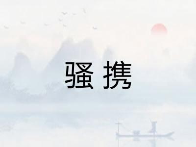 骚携 骚携