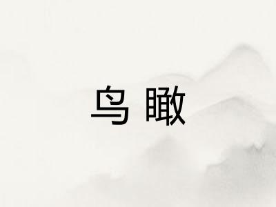 鸟瞰 鸟瞰