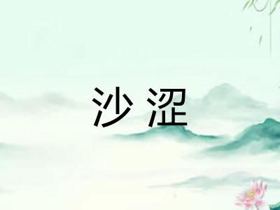 沙涩 沙涩