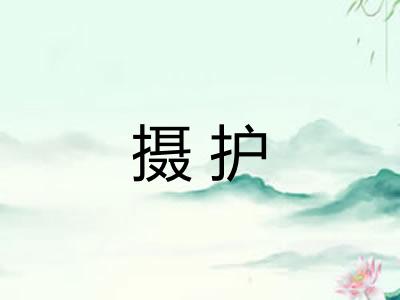 摄护 摄护