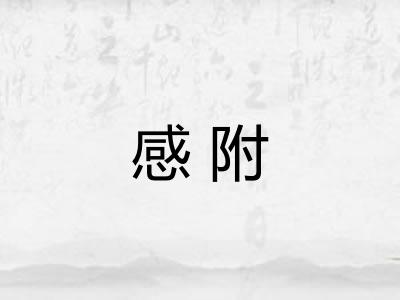 感附 感附