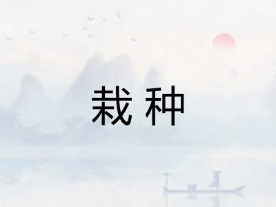 栽种 栽种