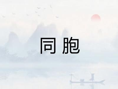 同胞 同胞
