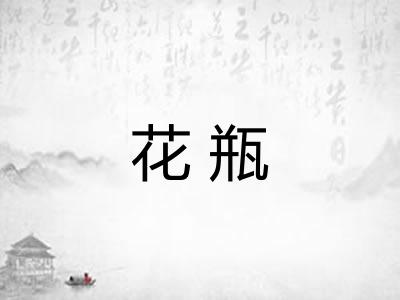 花瓶 花瓶