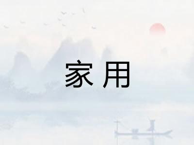 家用 家用