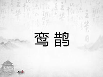 鸾鹊 鸾鹊