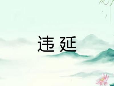 违延 违延