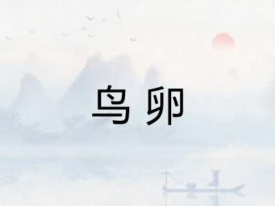 鸟卵 鸟卵