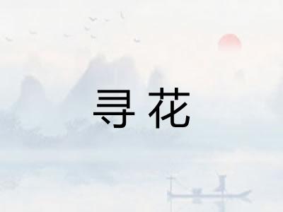 寻花 寻花