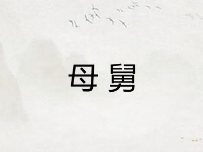 母舅 母舅