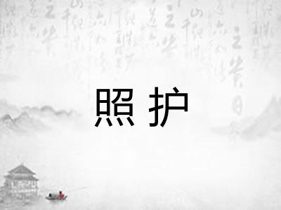 照护