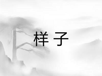 样子