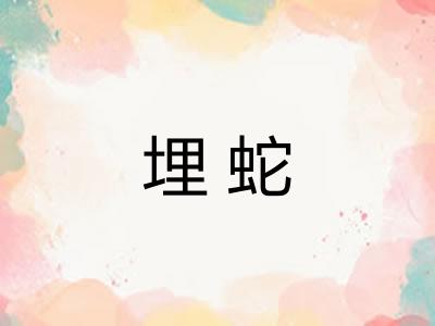 埋蛇 埋蛇