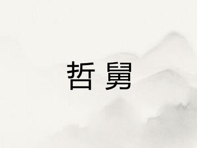 哲舅 哲舅