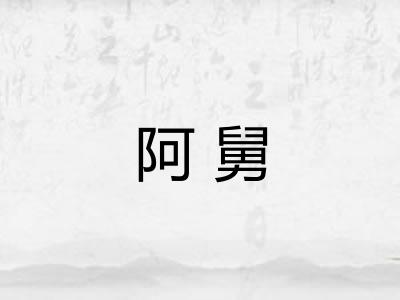 阿舅 阿舅