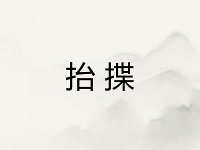抬揲 抬揲