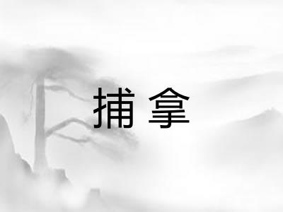 捕拿 捕拿