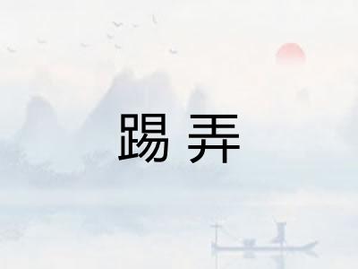 踢弄 踢弄