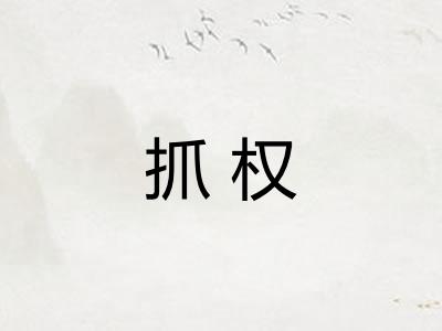 抓权 抓权